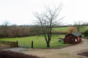 a smallshed in the middle of a field with a tree at Mason's Arms in Montacute