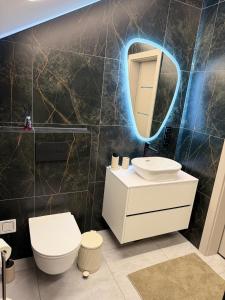 a bathroom with a toilet sink and a mirror at Riverside Cottage in Palanga +13 photos