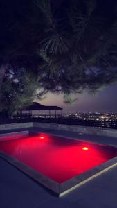 a pool of red water at night with a tree at El Shibli Chalet in Jerash
