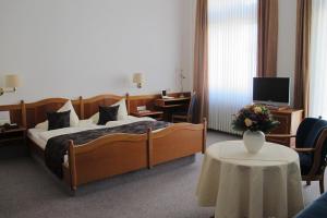 TV a/nebo společenská místnost v ubytování Hotel Anlage Heidelberg
