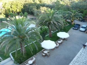 Bazén v ubytování Fiori Hotel nebo v jeho okolí