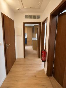 a corridor of a room with wooden doors at Stay Offenbach in Bürgel