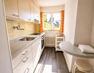 a small kitchen with a sink and a window at Revier Lärchenglück in Braunwald