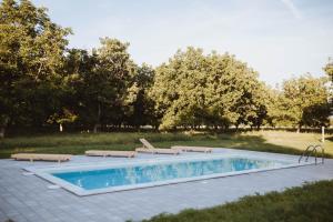 a swimming pool with two loungers and a swimming poolvisor at Nizija in Sombor