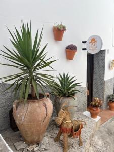 a group of potted plants sitting next to a wall at B&B SEnDA de alegria in Cómpeta