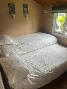 an empty bed in a room with a window at Hoburne Holiday Park, Cotswold, Bumblebee Lodge in South Cerney