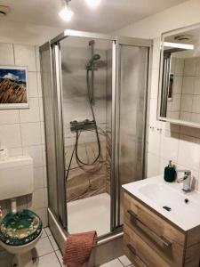 a bathroom with a shower and a sink at Haus Wogemann III in Böhl +39 photos