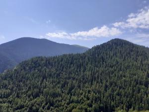 an aerial view of a tree covered mountain at Le génépi in Roubion