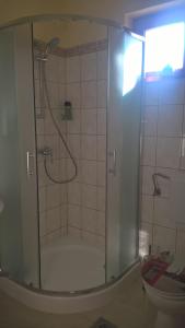 a bathroom with a shower with a glass door at Pongrácz Apartman in Zirc