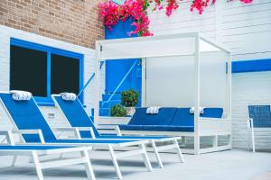 a pair of blue and white chairs on a patio at The Royal Sonesta Washington DC Dupont Circle in Washington, D.C.