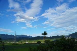 a palm tree in a field with a cloudy sky at Ngày Mới Hotel in Bản Tông Duôn