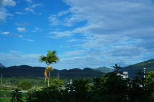 a palm tree in the foreground with mountains in the background at Ngày Mới Hotel in Bản Tông Duôn +12 photos