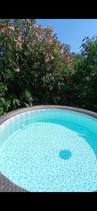 a large swimming pool in a yard with trees at Villa Mira Bed and Breakfast in Duino