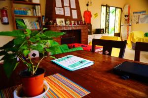 a wooden table with a potted plant on top of it at Guayaba Hostel in Las Lagunas