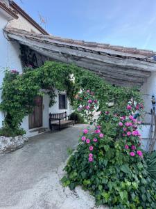 a garden with pink flowers and a bench in front of a building at Cortijo Mainacio in Siles +4 photos
