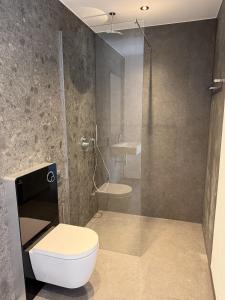 a bathroom with a toilet and a shower at Stilvolles Premium Apartment in Haßfurt