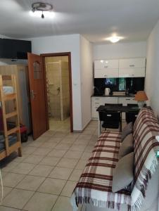 a living room with a couch and a kitchen at Ośmiorniczka Skorzęcin in Skorzęcin