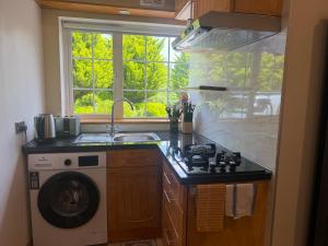 a kitchen with a washing machine and a window at Tunmobi Gardens Apartment in Ballyjamesduff
