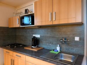 a kitchen with a sink and a microwave at Chalupa 387 in Harrachov +17 photos