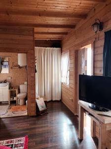 a living room with a large flat screen tv at Bungalow Maria&Razvan in Pângărăcior