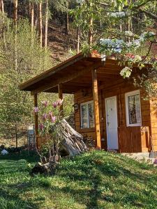 a log cabin with a white door in the grass at Bungalow Maria&Razvan in Pângărăcior