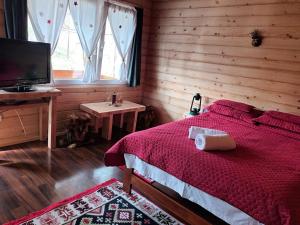 a bedroom with a bed and a television and a table at Bungalow Maria&Razvan in Pângărăcior