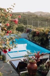 a swimming pool in the middle of a garden with plants at Cabanas Bouganville in Monte das Gameleiras