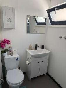 a bathroom with a white toilet and a sink at Ubytování pod Třešní in Telč +20 photos