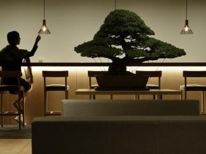 a man standing in a room with a bonsai tree on a table at hotel kanra kyoto in Kyoto