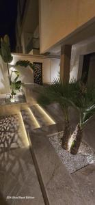 two potted plants in front of a building at Palm Paradise in Sukrah