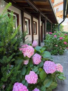 a bunch of pink flowers in front of a building at Rooms Ravnik in Bled