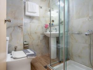 a bathroom with a shower and a toilet and a sink at Sifis in Loutro