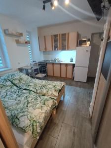 a bedroom with a bed in the middle of a kitchen at u Oli Dawid Spaczyński in Mrzeżyno