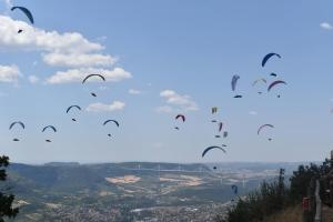 a group of birds are flying in the sky at gite millau in Millau