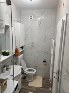 a bathroom with a toilet and a glass shower at Stan na dan Alex in Bijeljina +30 photos