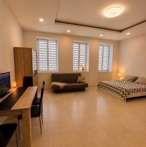 a large living room with a bed and a couch at Colonnade Studio, Karlovy Vary in Karlovy Vary