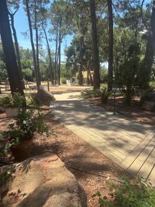 a wooden path in a park with trees at Kilina in Porto-Vecchio