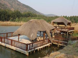 a group of tables with umbrellas in the water at Emahlathini Guest Farm in Piet Retief