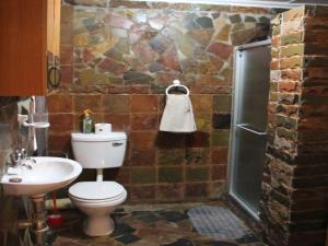 a bathroom with a toilet and a sink and a shower at Emahlathini Guest Farm in Piet Retief +70 photos