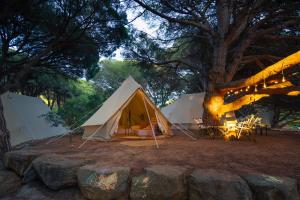 a white tent with a table and chairs under a tree at Kampaoh Los Caños in Los Caños de Meca