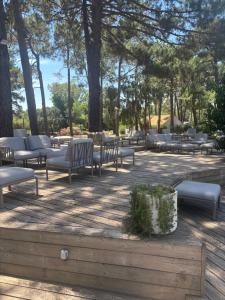 a group of benches in a park with trees at Kilina in Porto-Vecchio +104 photos