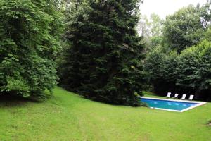 a swimming pool in the middle of a yard with trees at Chambre d'hôtes chez Johannes et Adèle in Brive-la-Gaillarde