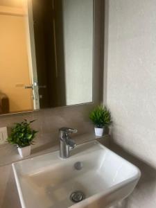 a bathroom sink with a mirror and two potted plants at Luna Spaces-Riva Nr KIMS Hospital, Bayer House, TCS thane in Thane
