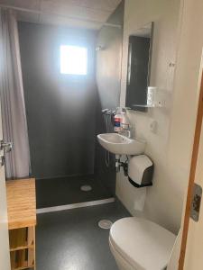 a small bathroom with a toilet and a sink at Mersted Holiday House in Tønder +149 photos