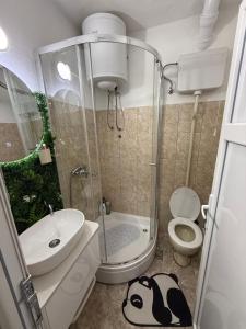 a bathroom with a shower and a toilet and a sink at Apartman Marković in Meljine +3 photos