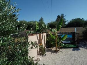 a garden with a small palm tree and plants at Mountain View Bungalows Dimilia in Fánai