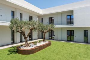 two trees in a yard in front of a building at Aura - Stagnone Apartments in Marsala