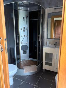 a bathroom with a shower and a toilet and a sink at los jardines las rozas in Las Rozas