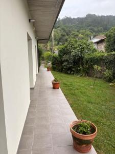 a walkway with potted plants on the side of a house at los jardines las rozas in Las Rozas +4 photos