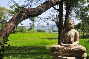 a statue sitting on a rock under a tree at Waters Edge, Anuradhapura in Anuradhapura